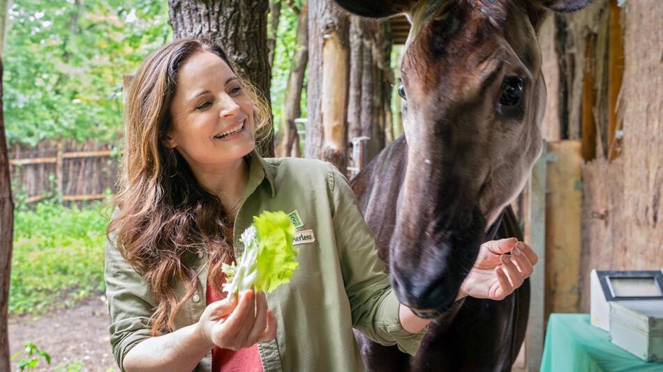 Elisabeth Lanz wird in 13 neuen Episoden von "Tierärztin Dr. Mertens" zu sehen sein.