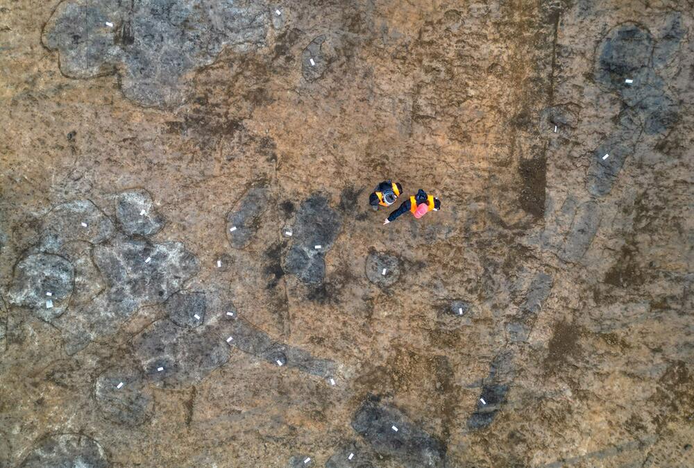 Siedlungen aus Jungsteinzeit und Bronzezeit entdeckt