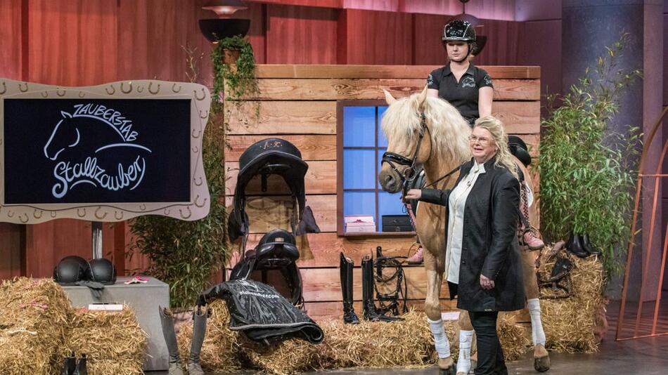 DHDL, die höhle der löwen, investoren, gründershow, star-up, vox