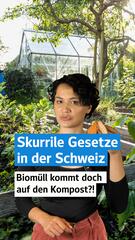 Skurrile Gesetze in der Schweiz