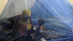 Kindersterblichkeit und Prävention