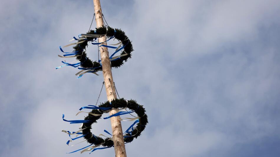 Maibaum