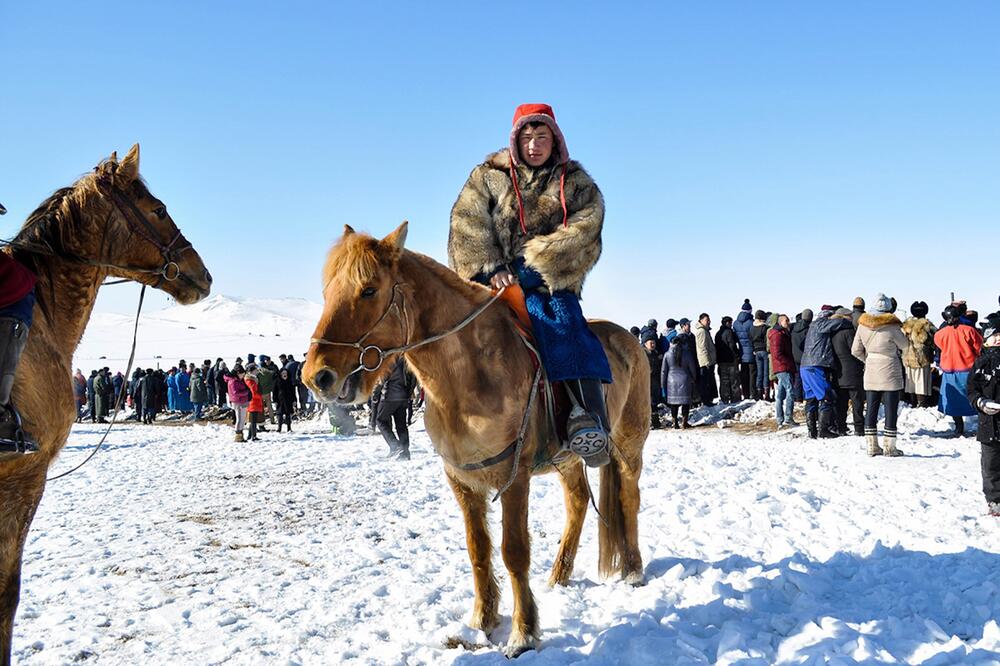 Pferde spielen in der Mongolei eine große Rolle.