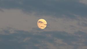 Vollmond