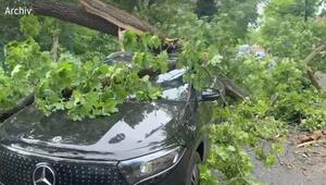 2,6 Milliarden Euro Unwetter-Schäden: Dennoch Rückgang zu 2024