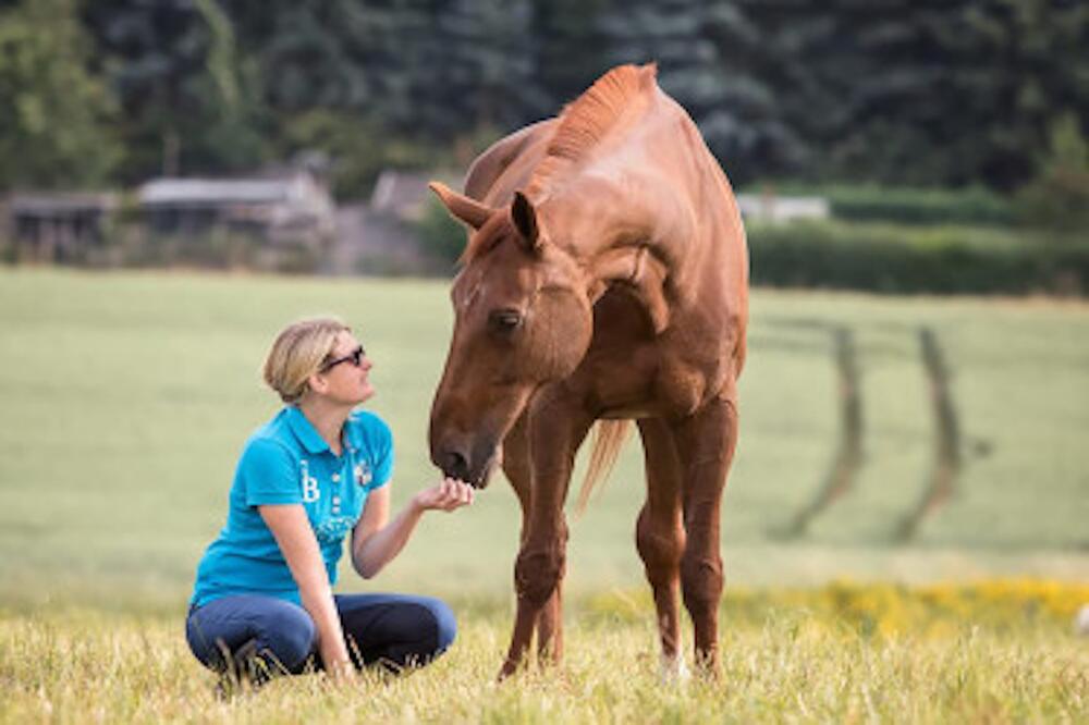 Ein eingeschweißtes Team: Lea Herbold und Cavallo.