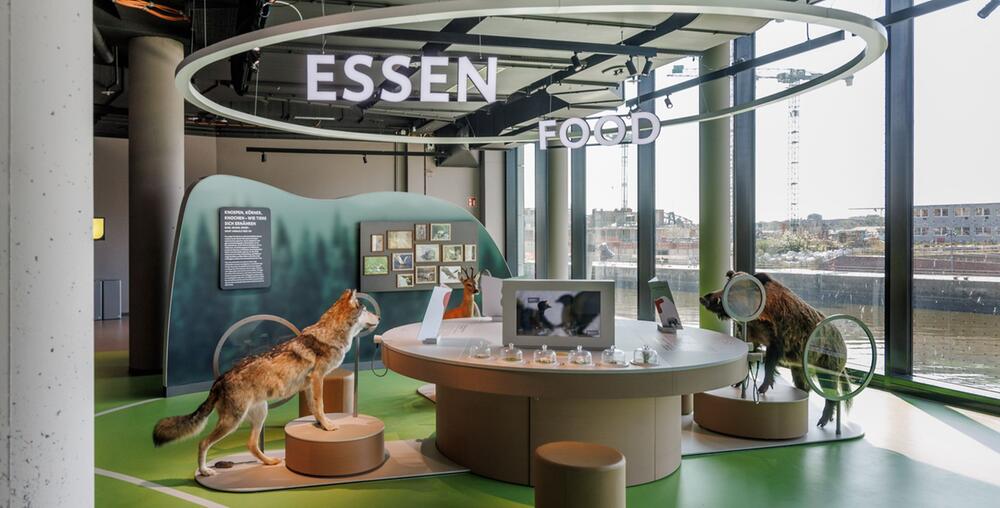 Ausstellung in der Botschaft der Wildtiere