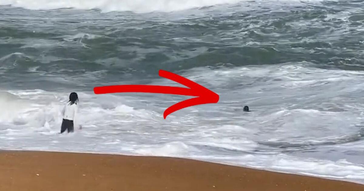 Kleines Mädchen droht zu ertrinken – junger Mann wird zum Helden - Video | 1&1