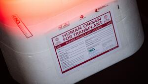 Illustration - Organspende