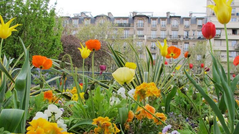 Blütenmeer in Paris