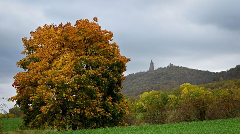 Herbst am Kyffhäuser