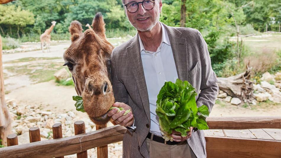 Giraffentaufe im Tierpark Berlin