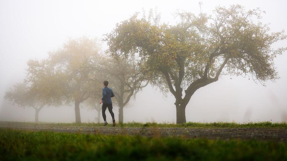 Nebel in Hessen