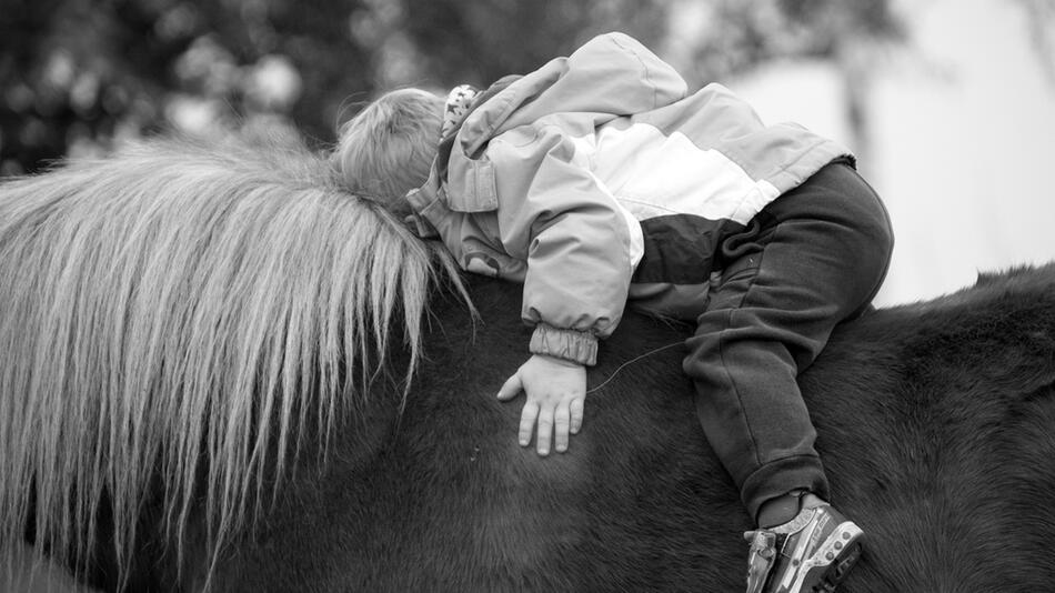 Frankreich verbieten Pony-Reiten im Park.