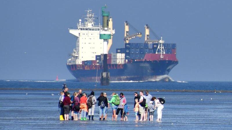 Wattwanderer in Cuxhaven-Döse