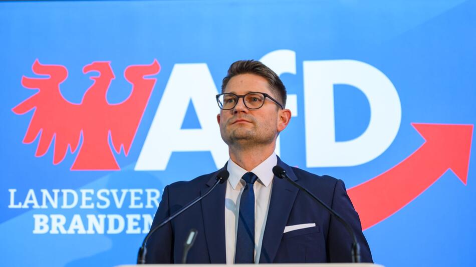 Landesparteitag AfD Brandenburg