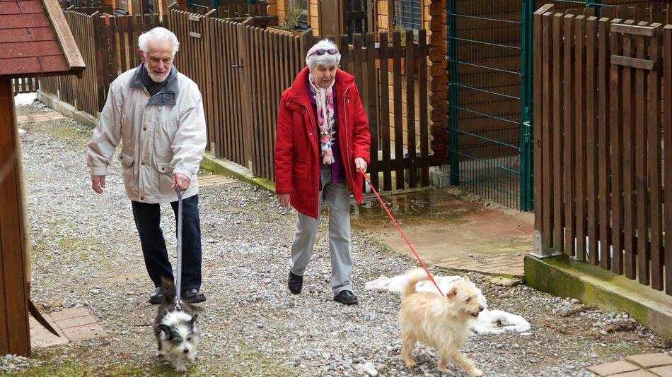 Der „Sonnenhof“ vermittelt Hunde an Senioren.