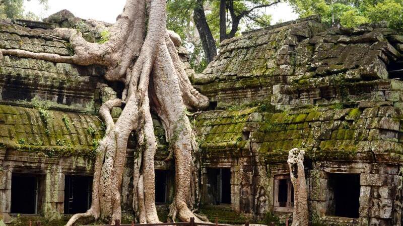 Tempel Ta Prohm in Kambodscha