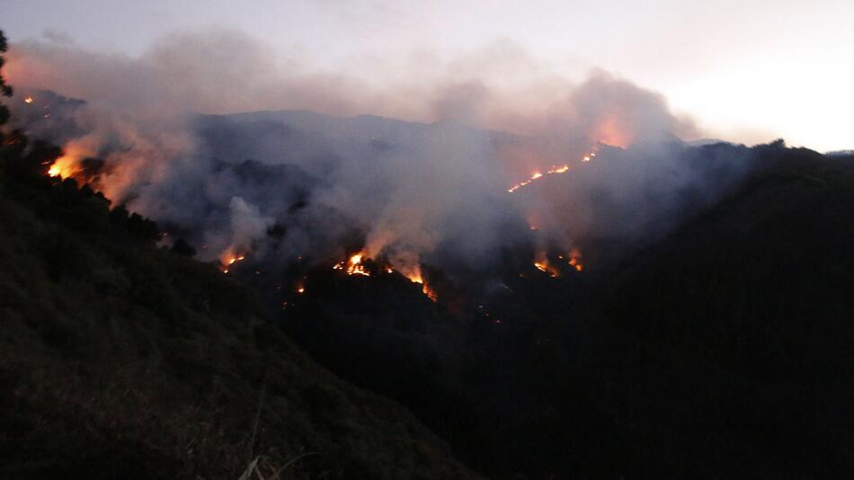 Waldbrand auf Gran Canaria