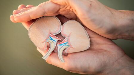 Nierenerkrankungen: Viele kennen die Warnsignale nicht