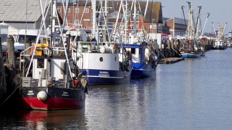 Alter Fischereihafen in Cuxhaven