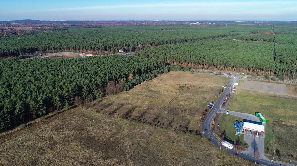 Landrat rechnet in Kürze mit Teslas Planungsunterlagen