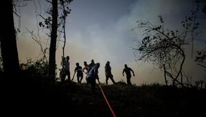 Waldbrände in der Türkei