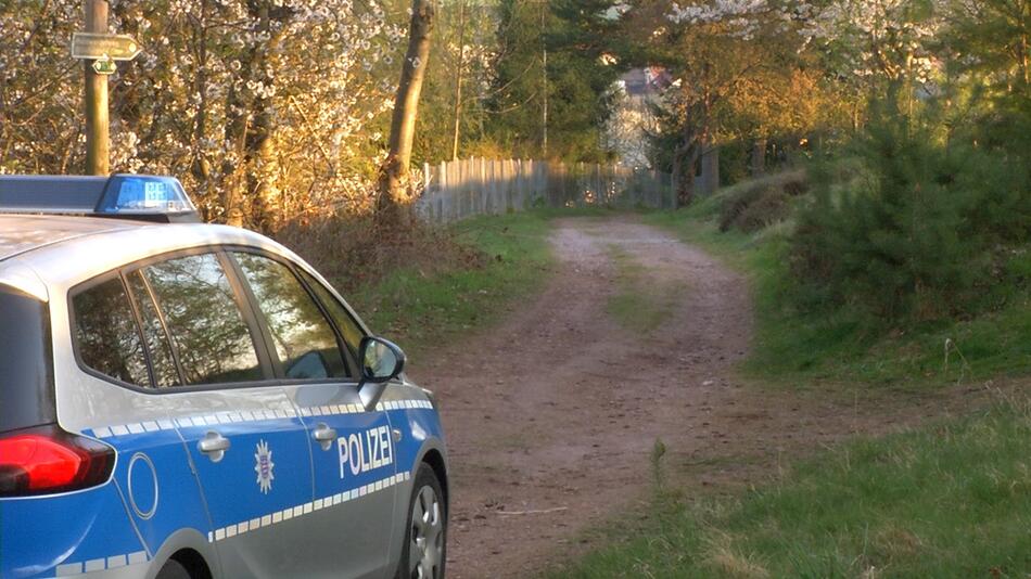 Babyleiche in einem Wald in Thüringen entdeckt