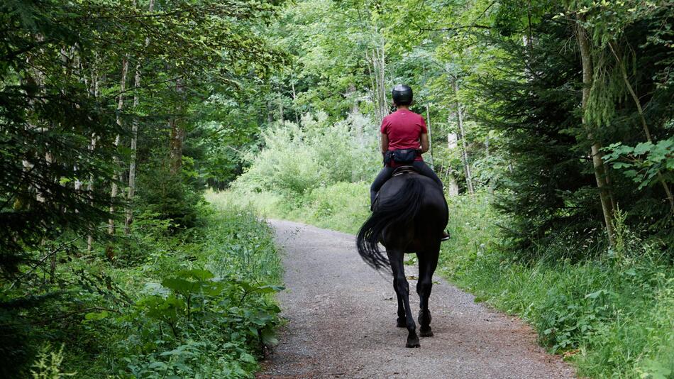 Erstes Mal reiten mit dem Pferd? Das ist wichtig.