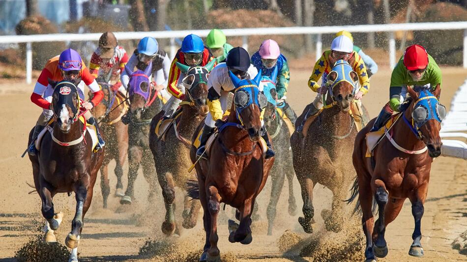 Drei Pferde starben beim Grand National.