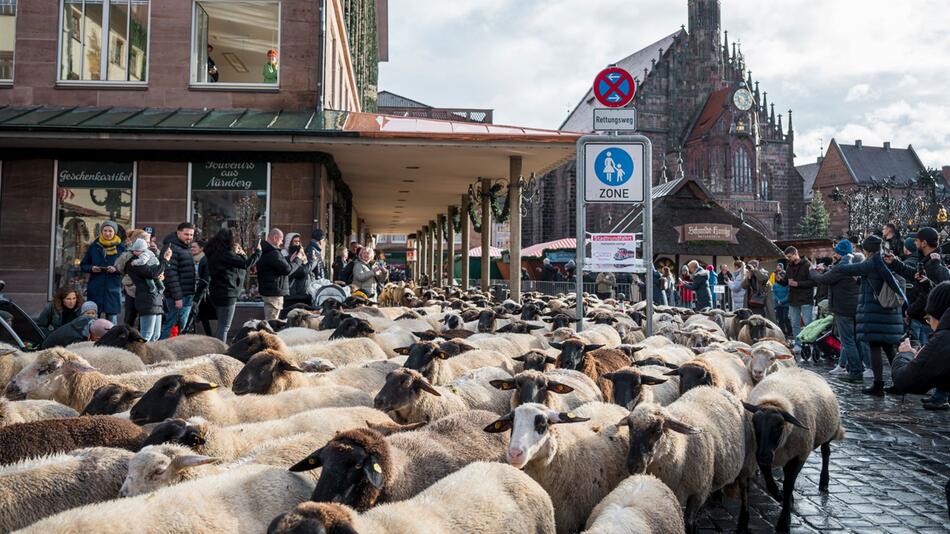 600 Schafe ziehen durch die Nürnberger Innenstadt