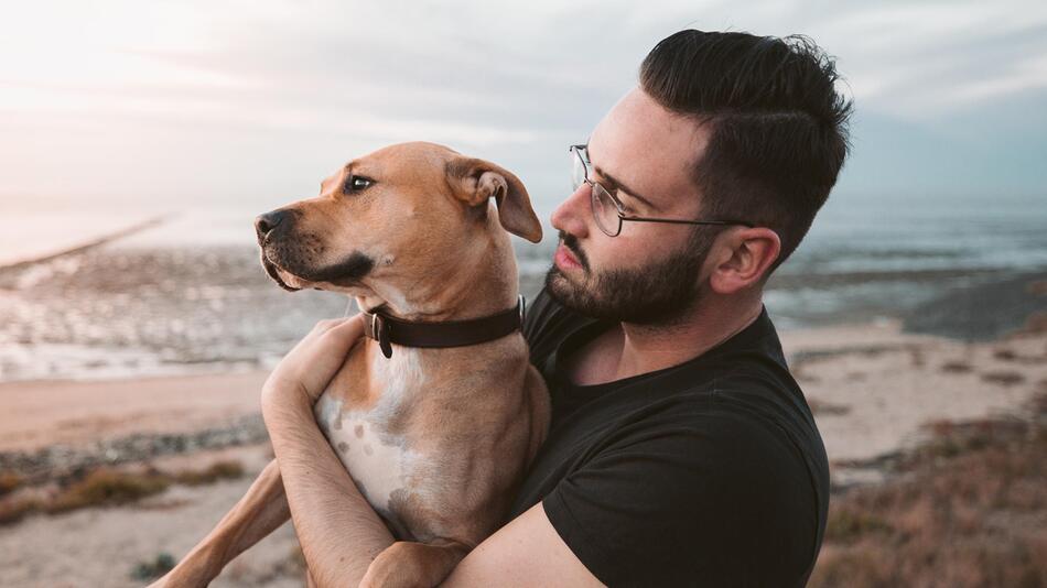 Hund und Halter bekommen gleichzeitig Nierenkrebs.