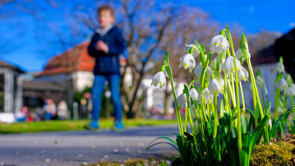 Im bayerischen Bad Reichenhall stehen die Frühlingsblumen bereits in Blüte.