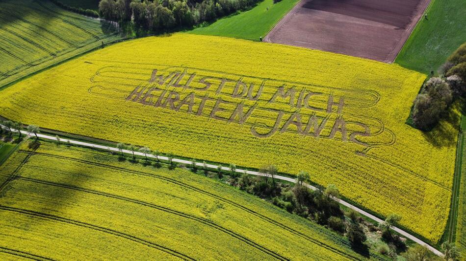 Heiratsantrag im Feld