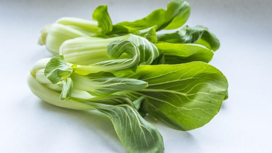 pak choi roh essen