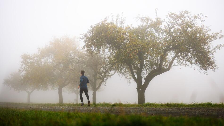 Nebel in Hessen