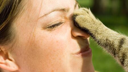 Katze stupst Besitzer mit Pfote an – was bedeutet das?