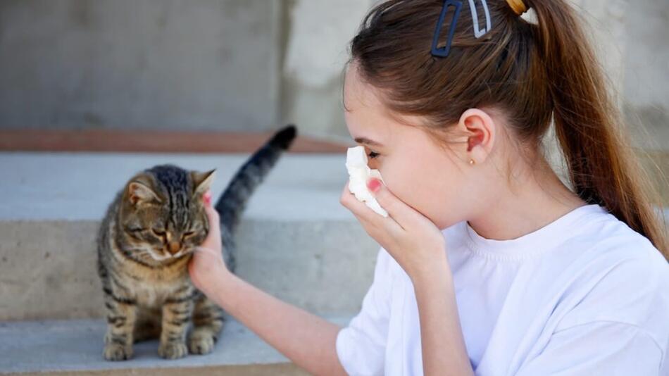 Was tun bei plötzlicher Katzenallergie?