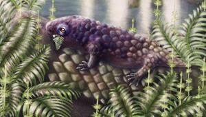 Tyrannoroter heberti 