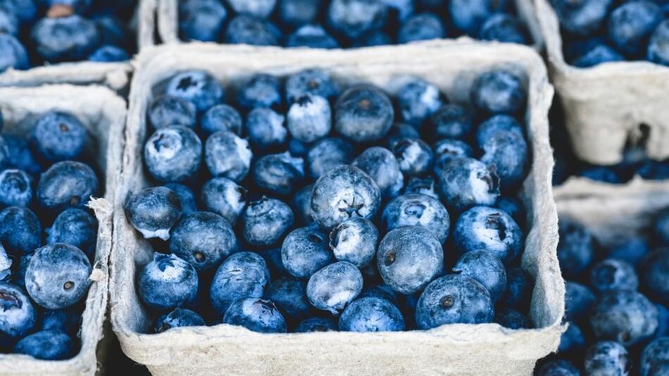 Blaubeeren: Woher haben sie ihre blaue Farbe?