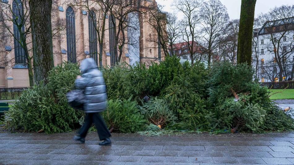 Illegal entsorgte Christbäume am Strassenrand