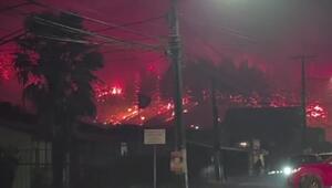 Tote bei verheerenden Waldbränden in Chile