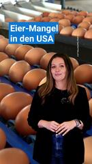 Eier-Mangel in den USA