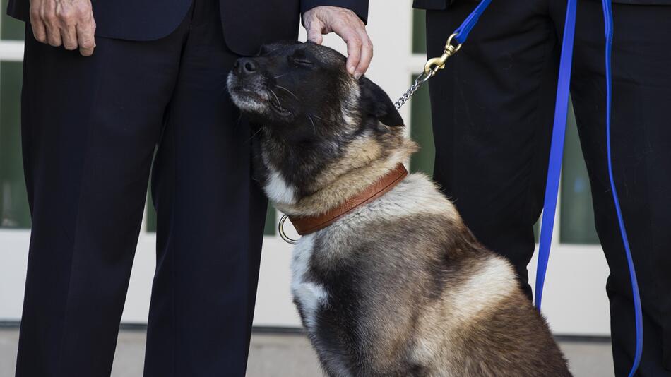 Trump ehrt Militärhund Conan