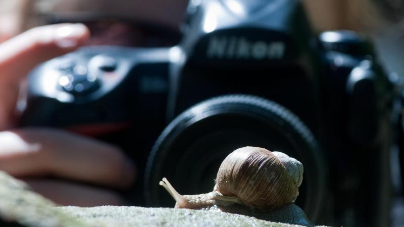 Tipps für bessere Bilder