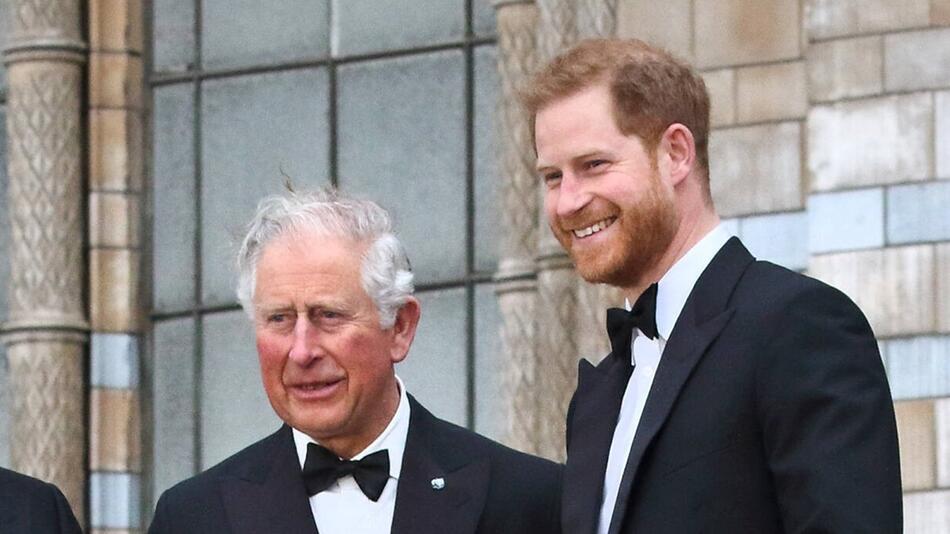 Prinz Harry hat seinen Vater, König Charles III., nach dessen Krebsdiagnose besucht.