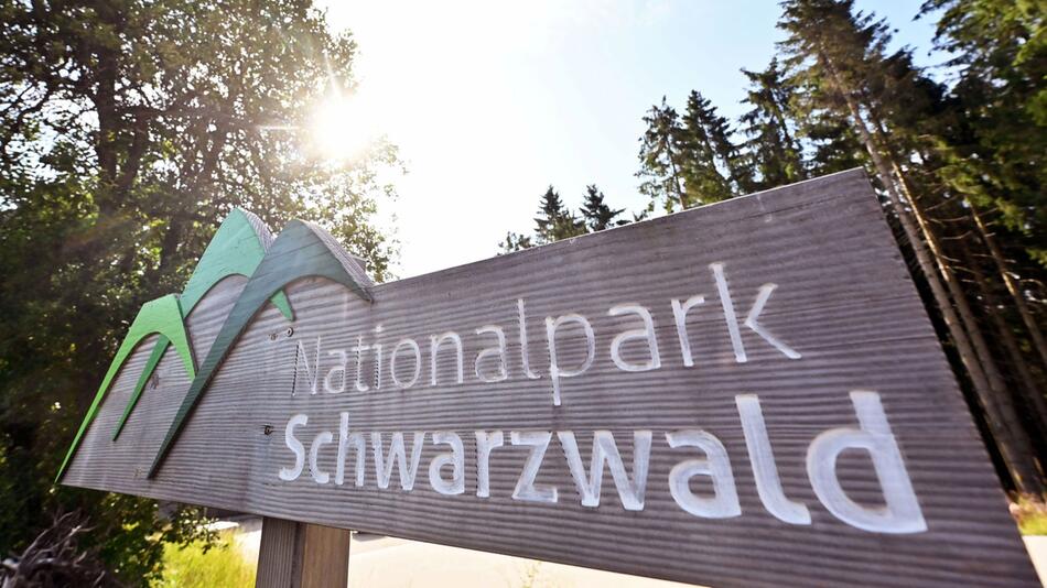 Nationalpark Schwarzwald