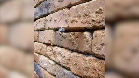 Spannendes Phänomen: Diese Illusion funktioniert nur ein Mal