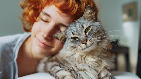 Geht es meiner Katze gut? Was Halter dabei oft übersehen