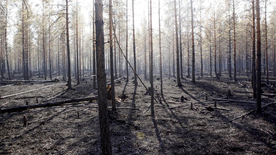 Brände, Schweden, Waldbrand